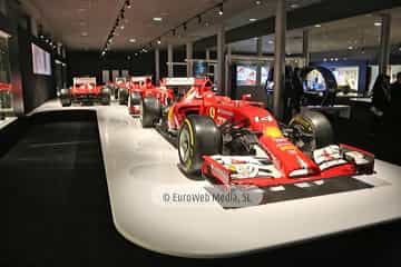 Museo Fernando Alonso