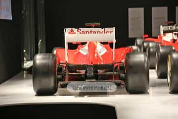 Museo Fernando Alonso