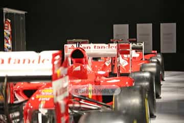 Museo Fernando Alonso