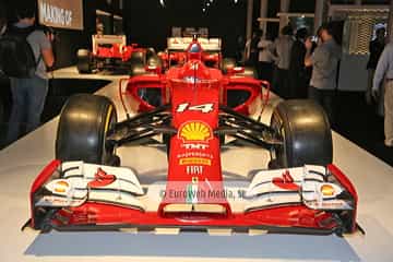 Museo Fernando Alonso