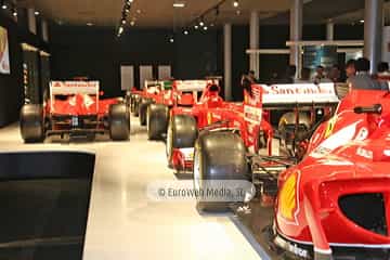 Museo Fernando Alonso