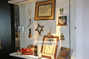 Museo Fernando Alonso
