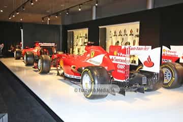 Museo Fernando Alonso