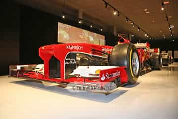 Museo Fernando Alonso