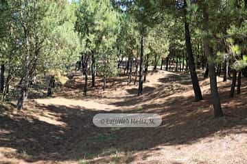 Área recreativa Pinar de Salinas