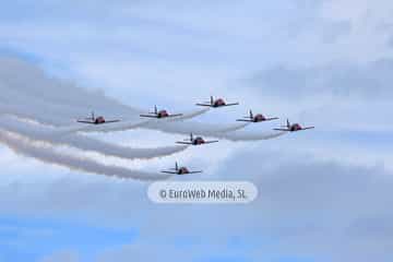 IX Festival Aéreo Ciudad de Gijón 2015