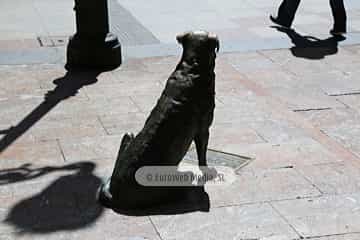 Rufo, el perro de Oviedo
