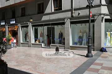 Rufo, el perro de Oviedo