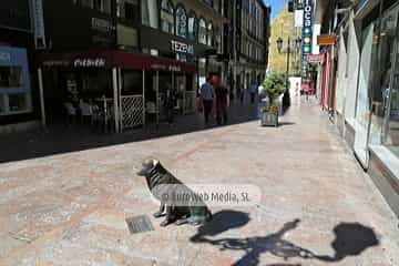 Rufo, el perro de Oviedo