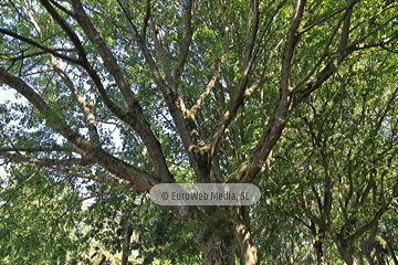 Parque de los Hermanos Castro