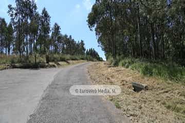 Mirador de La Peña El Carro