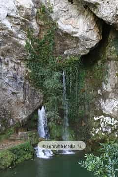 Estanque «El Pozón de Covadonga»