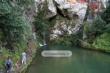 Estanque «El Pozón de Covadonga»