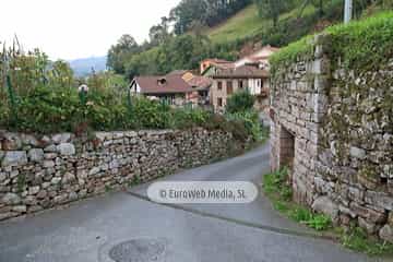 Calero en Loredo