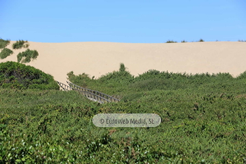 Monumento Natural Playa de El Espartal