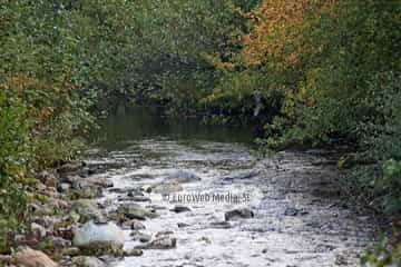 Río Muniellos