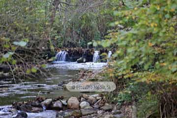 Río Muniellos