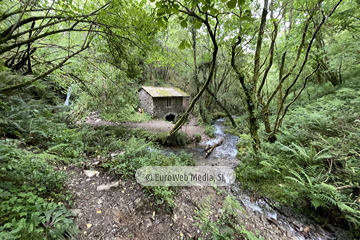 Molino de Pín