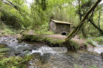 Molino de Pín