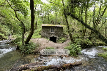 Molino de Pín