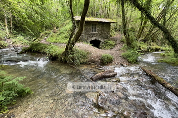 Molino de Pín