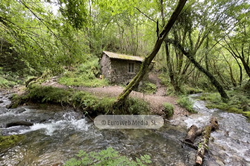 Molino de Pín