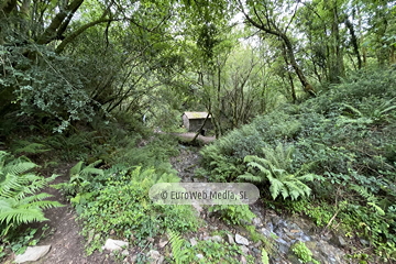 Molino de Pín