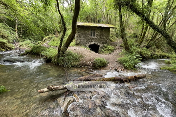 Molino de Pín