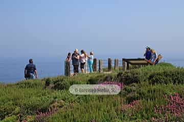 Mirador del Cabo Busto