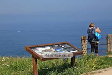 Mirador del Cabo Busto