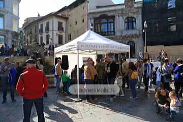 Mercado Artesano y Ecológico en Oviedo