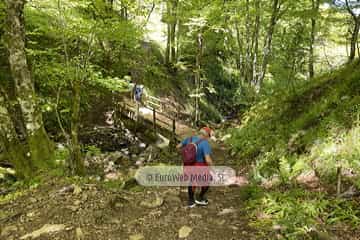 Ruta Hayedo de Montegrande y Cascada del Xiblu