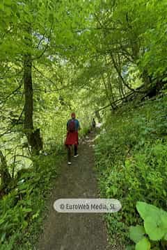 Ruta Hayedo de Montegrande y Cascada del Xiblu