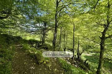 Ruta Hayedo de Montegrande y Cascada del Xiblu