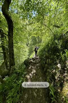 Ruta Hayedo de Montegrande y Cascada del Xiblu