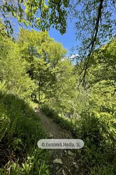 Ruta Hayedo de Montegrande y Cascada del Xiblu