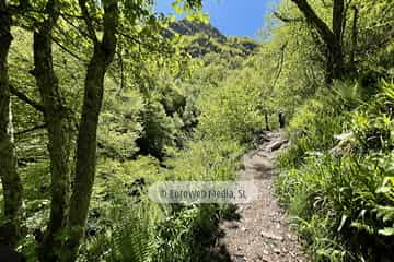 Ruta Hayedo de Montegrande y Cascada del Xiblu