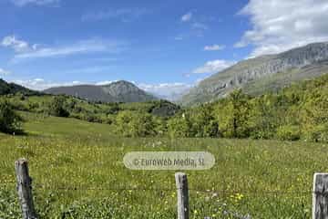 Ruta Hayedo de Montegrande y Cascada del Xiblu