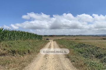 Ruta Verdicio - Cabo Peñas