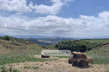 Ruta Verdicio - Cabo Peñas
