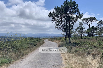 Ruta Verdicio - Cabo Peñas