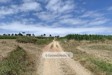 Ruta Verdicio - Cabo Peñas