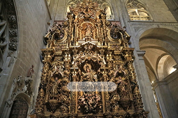 Retablo de la Inmaculada e Hidria. Retablo de la Inmaculada e Hidria en la Catedral de Oviedo