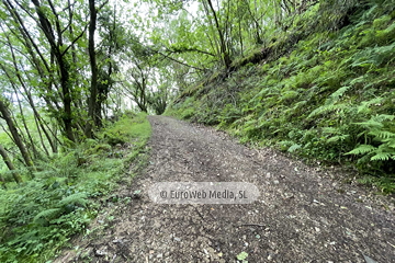 Ruta Cascada del Gorgollón