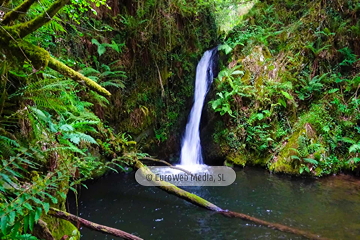 Ruta Cascada del Gorgollón