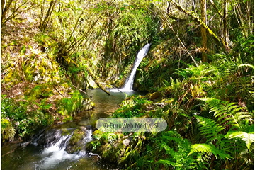 Ruta Cascada del Gorgollón