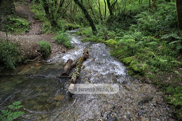 Ruta Cascada del Gorgollón