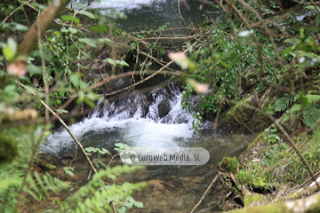 Ruta Cascada del Gorgollón