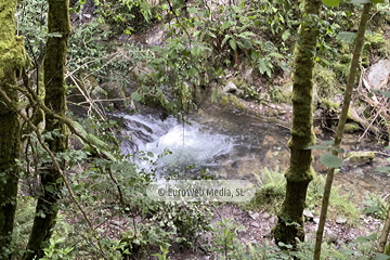 Ruta Cascada del Gorgollón