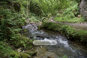 Ruta Cascada del Gorgollón